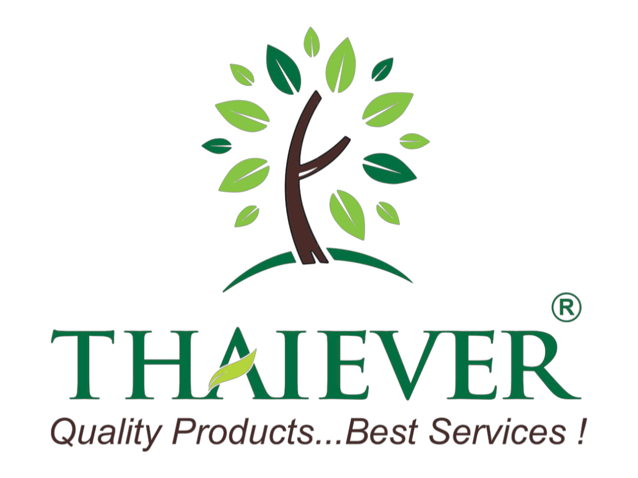 Header Logo